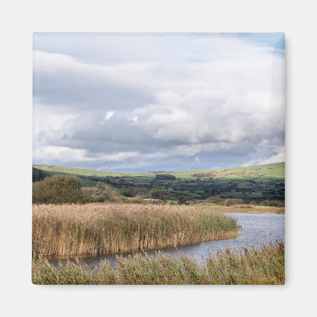 VIEWS OF WALES MAGNET (Front)