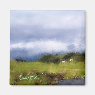 VIEWS OF WALES MAGNET