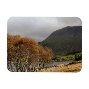 VIEWS OF WALES MAGNET