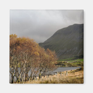 VIEWS OF WALES MAGNET