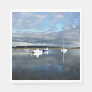 VIEWS OF WALES NAPKIN