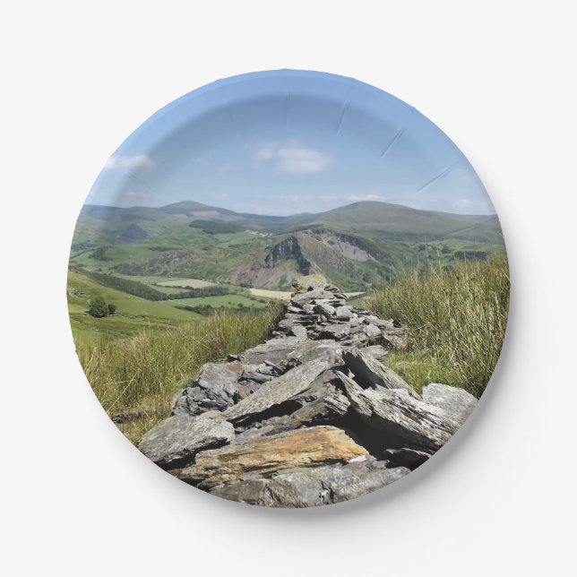 VIEWS OF WALES PAPER PLATE (Front)