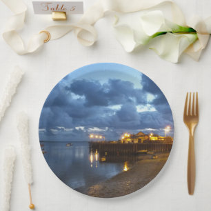 VIEWS OF WALES   PAPER PLATE