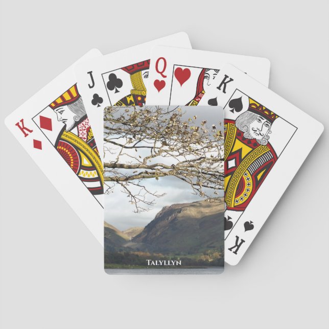 VIEWS OF WALES PLAYING CARDS (Back)