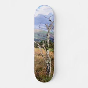 VIEWS OF WALES SKATEBOARD