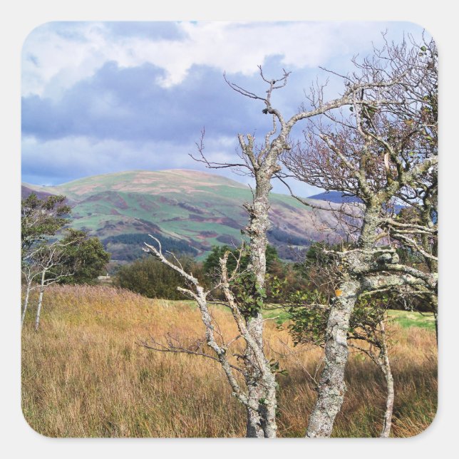 VIEWS OF WALES SQUARE STICKER (Front)