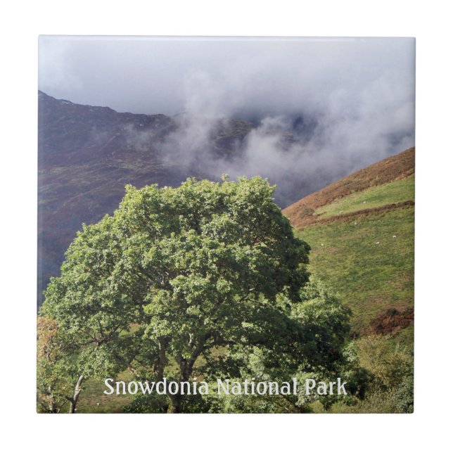 VIEWS OF WALES TILE (Front)