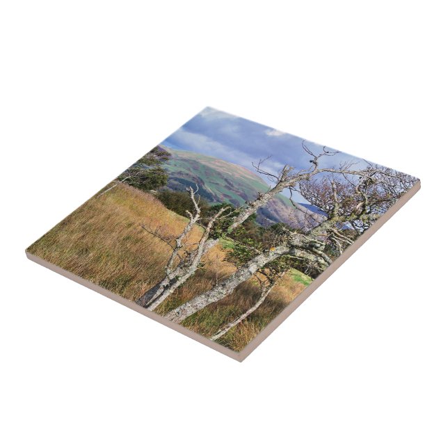 VIEWS OF WALES TILE (Side)