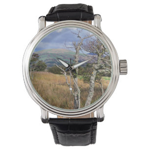 VIEWS OF WALES WATCH