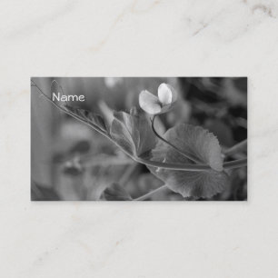 Vigne 2 de pois de carte de visite
