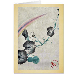 Vigne de courge avec la fleur et l'arc-en-ciel