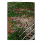 Vignes de lierre, escaliers, mur de briques,