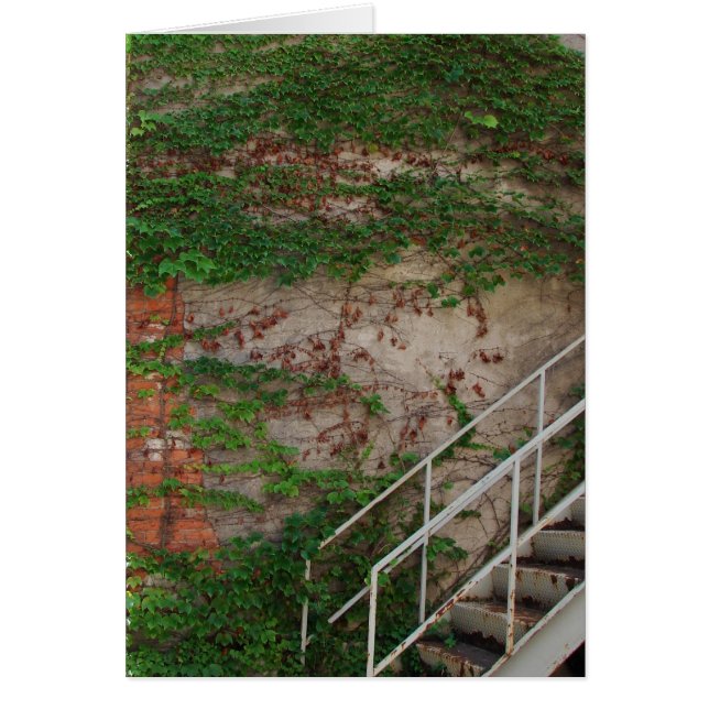 Vignes de lierre, escaliers, mur de briques, (Devant)