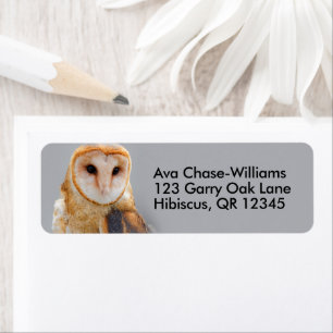 Vignetetted Serene Barn Owl