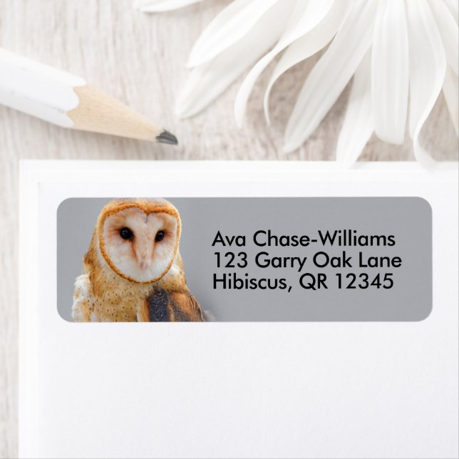 Vignetetted Serene Barn Owl (En situation)