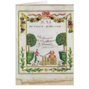 Vignette of 'Eau de Fleur d'Orange'