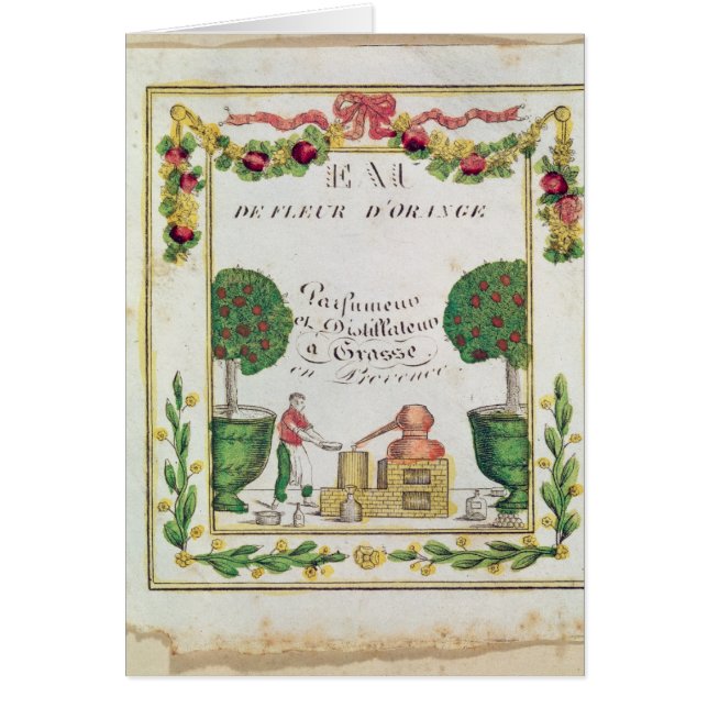 Vignette of 'Eau de Fleur d'Orange' (Front)