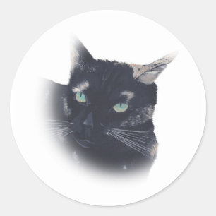 Vignette of Tortoise Shell Cat Face Stickers