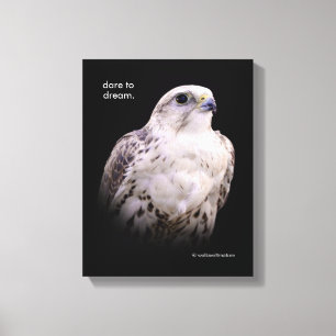 Vignetted Portrait of an Inquisitive Saker Falcon Canvas Print