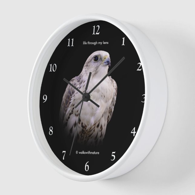 Vignetted Portrait of an Inquisitive Saker Falcon Clock (Angle)
