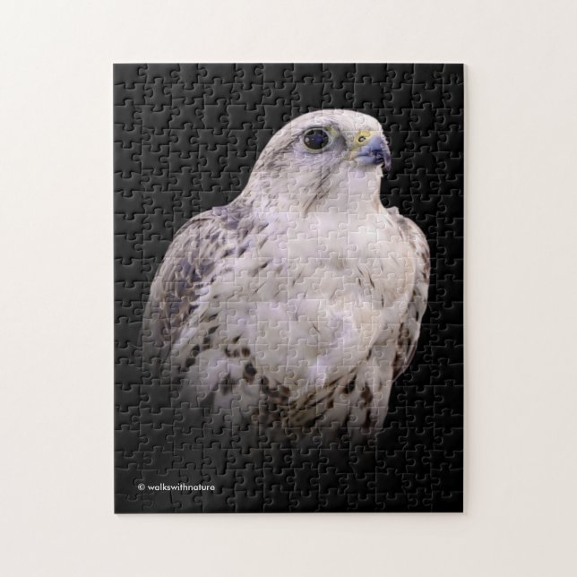 Vignetted Portrait of an Inquisitive Saker Falcon Jigsaw Puzzle (Vertical)