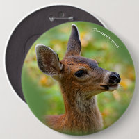 Vignetted Portrait of Smiling Blacktail Deer Fawn 