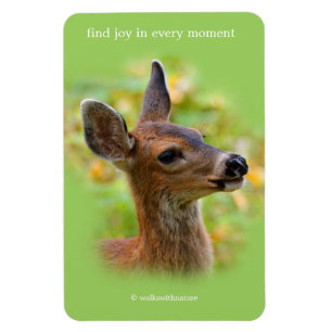 Vignetted Portrait of Smiling Blacktail Deer Fawn  Magnet