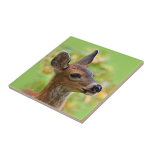 Vignetted Portrait of Smiling Blacktail Deer Fawn  Tile