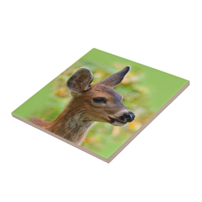 Vignetted Portrait of Smiling Blacktail Deer Fawn  Tile (Side)
