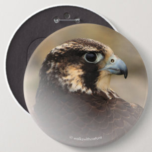 Vignetted Profile of a Peregrine Falcon 6 Inch Round Button