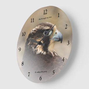 Vignetted Profile of a Peregrine Falcon Large Clock