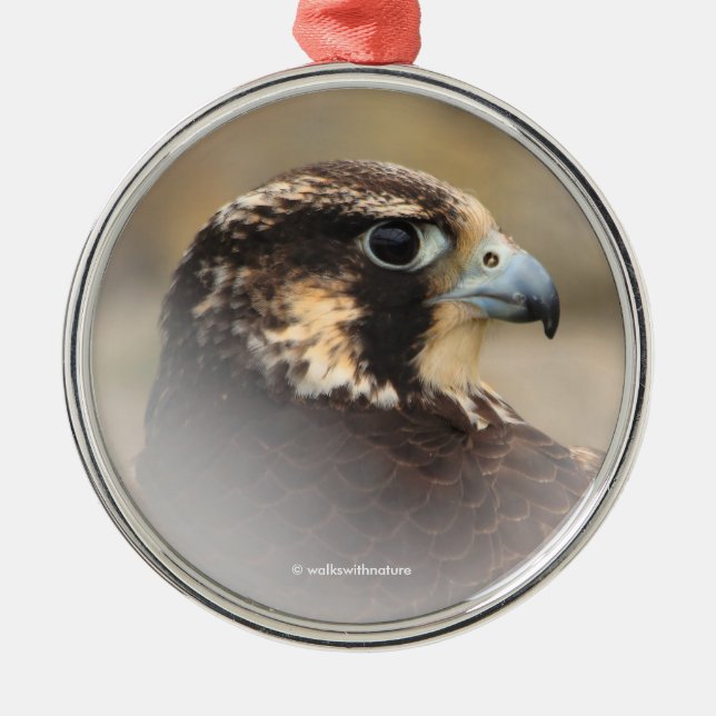 Vignetted Profile of a Peregrine Falcon Metal Ornament (Front)