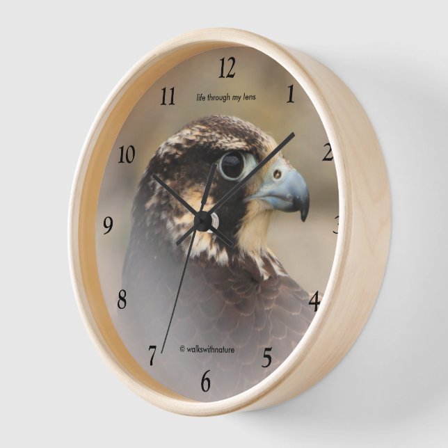 Vignetted Profile of a Peregrine Falcon Wall Clock (Angle)