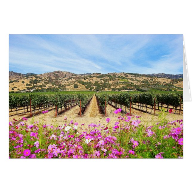 Vignoble de Napa Valley la Californie (Devant horizontal)