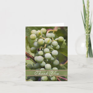 Vignoble de raisins verts Merci