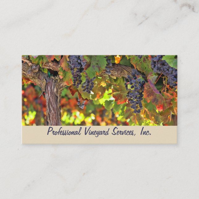 Vignoble et services de récolte Cartes de visite (Devant)