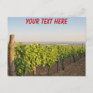 Vignobles de Tokaj, Hongrie, carte postale personn