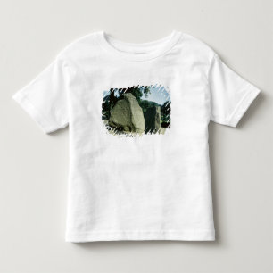 Viking rune stones toddler t-shirt