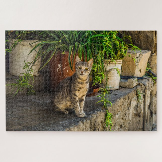 village cat puzzle (Horizontal)