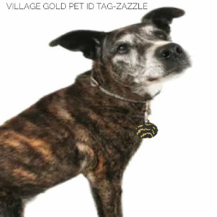 Village Gold Pet Tag