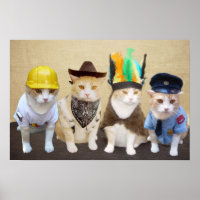 Village Kitties