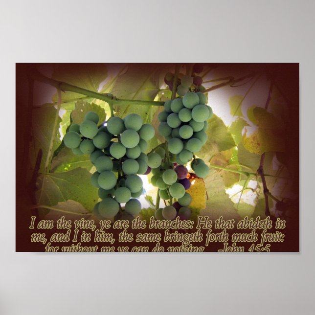 Vin et succursales John 15:5 Poster Imprimer (Devant)