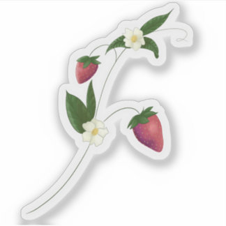 Vin fraise avec sticker fleurs
