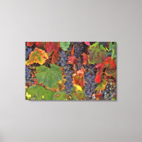 Vin Pays Raisins Cuisine Toile Art Vignoble