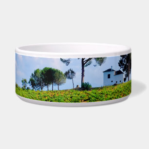 Viña de Los Pinos