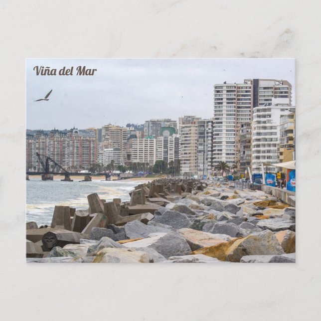 Viña del Mar, Chile Postcard (Front)