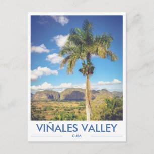 Viñales Valley Cuba Palm Tree Photo Postcard
