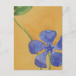 Vinca Floral Postcard