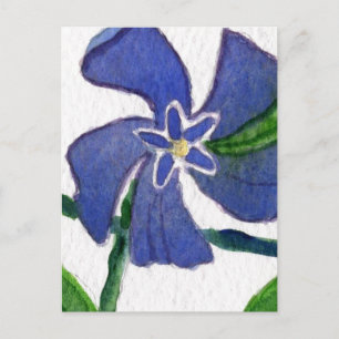 "Vinca Vine" Floral Postcard