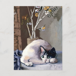 Vincent Cat Gogh Postcard